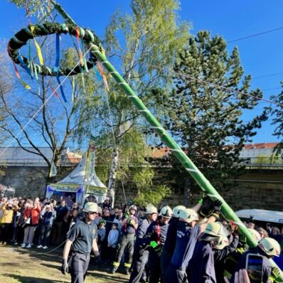 Maibaumsetzen in Pirna 2023