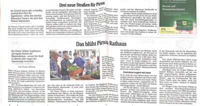 Ausschnitt Blühendes Rathaus Pirna