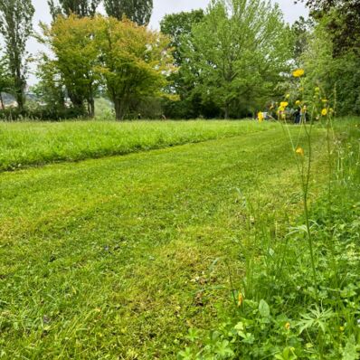 Anpacken - mit euch für Pirna im Brückenpark: 2. Teil 2024