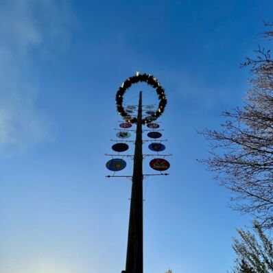 Maibaum in Pirna 2023 im Sonnenuntergang